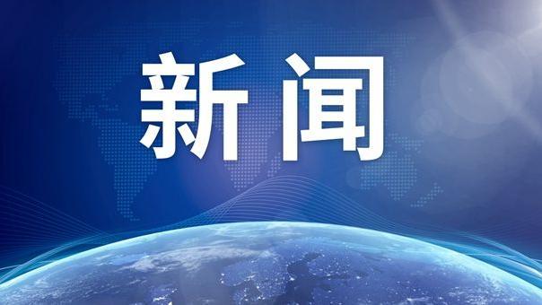 王红辞去北京市副市长职务