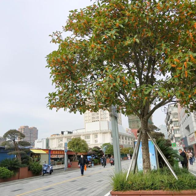 江门市广东山石制砂机器现场