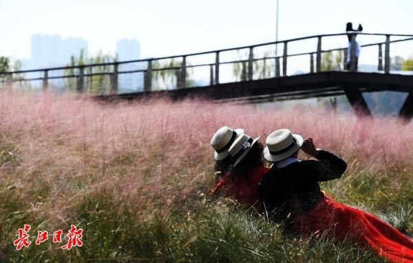忘羡再生缘11一只漂亮的鹅卵石制砂机