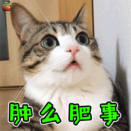 妈妈被“熊孩子”锁在阳台外，爸爸“远程”报警求救……