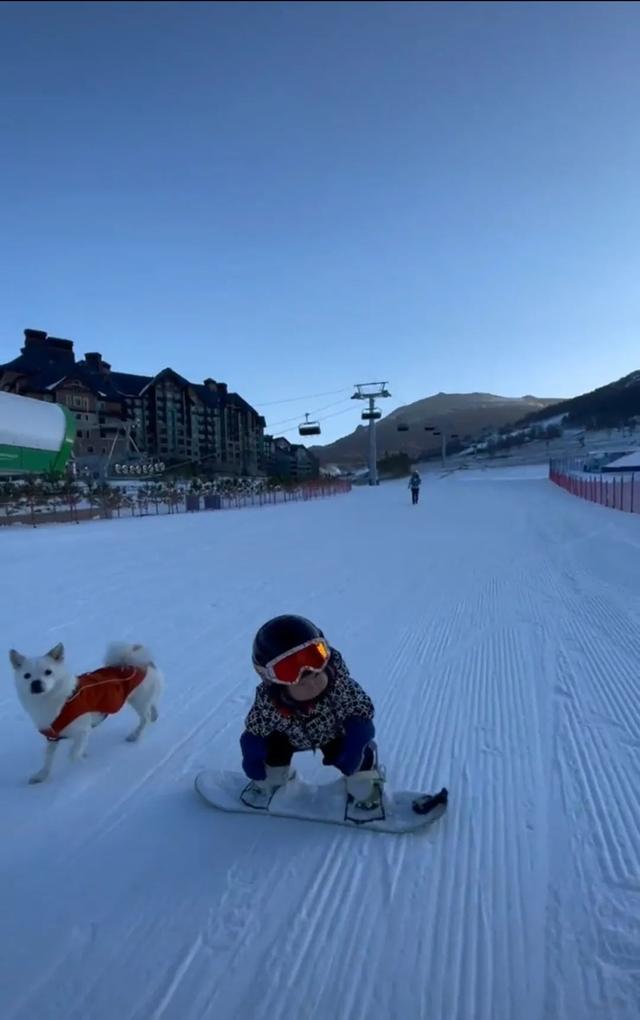 这个11月大的萌娃火了！不会走路，却能独立滑雪