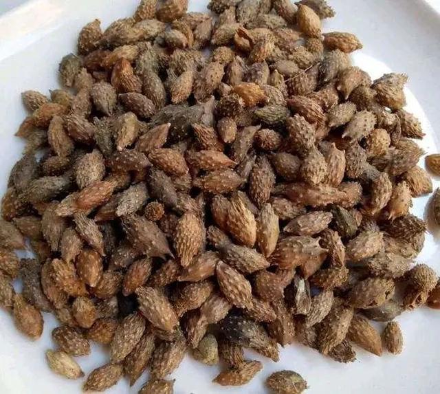 国医大师路志正：祛除湿浊经验二十三则