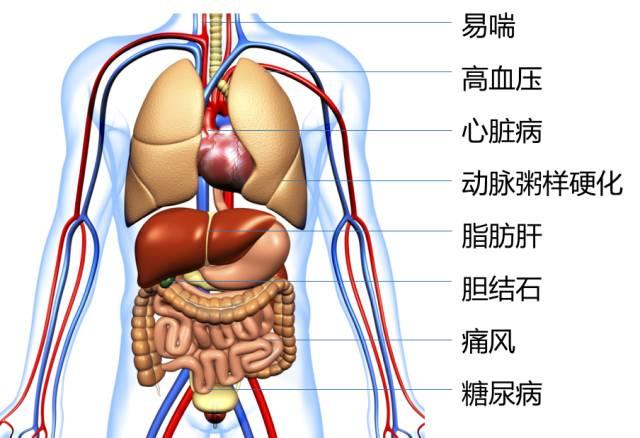 这些素菜看似健康，其实，每吃一口都在让你长胖