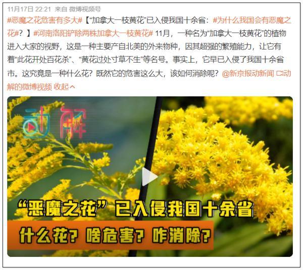 杭州轮斗洗砂机品质优良