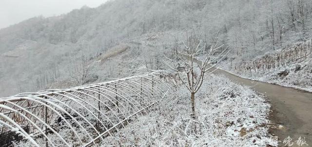 最新预报！安徽今晚降雪