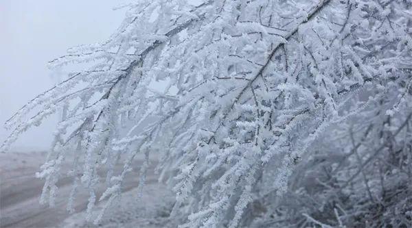 三大预警突发！超大寒潮"发货"，全国2/3地区将进入"速冻"模式！已有上市公司遭冲击，影响有多大？
