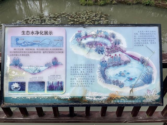 叶片过滤机安装结构
