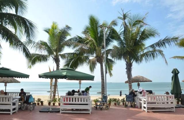 东北候鸟，海南过冬