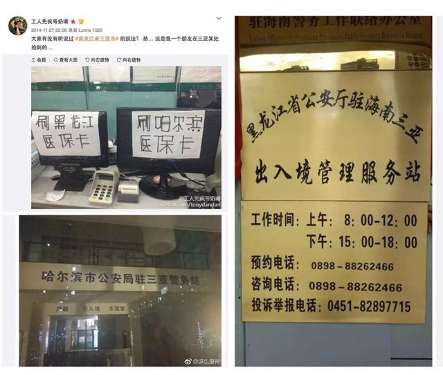 东北候鸟，海南过冬