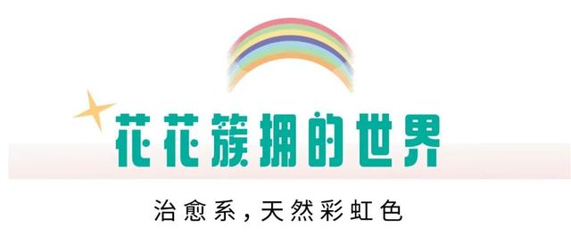 火鹤鱼