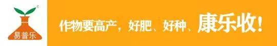 15家农药企业、25个农药产品上榜！2021农药减量增效优秀范例公示