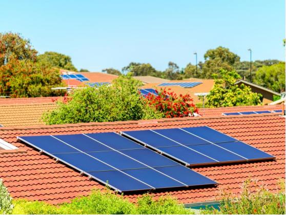 澳媒：关乎澳大利亚未来，澳9成太阳能电池板进口依赖中国