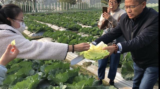 北京展创丰华工程项目管理公司
