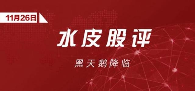 水皮：「谈股论金」黑天鹅降临