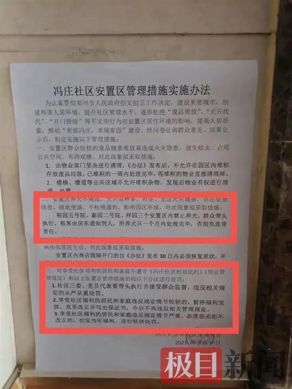 郑州狗狗（郑州狗证品种都有什么）