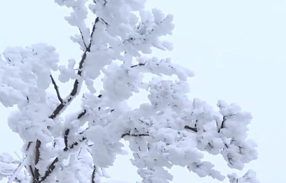 一句简短的雪景句子，下雪天说说心情短语朋友圈下雪说说经典大全？