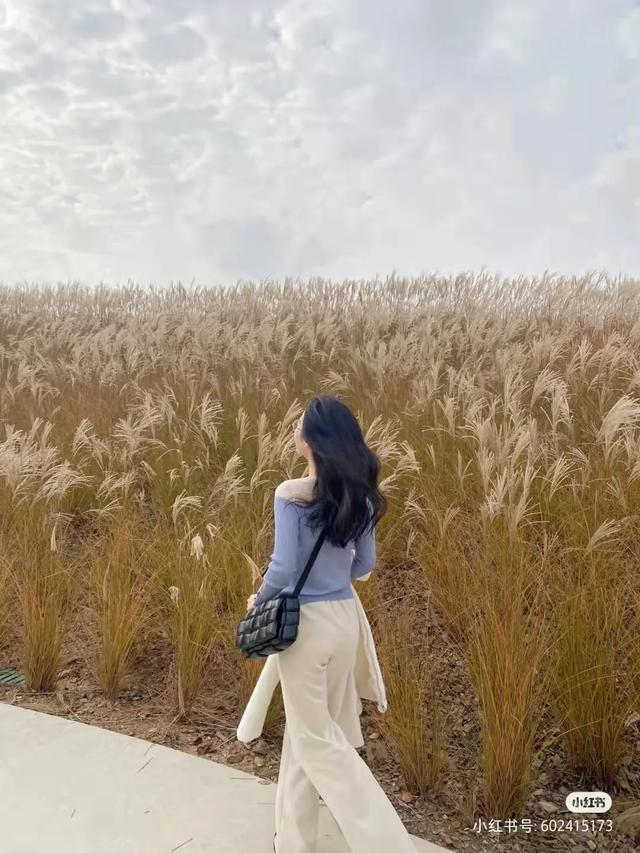 蘆葦搖，花絮飄！快來拍美美的冬季浪漫大片吧！