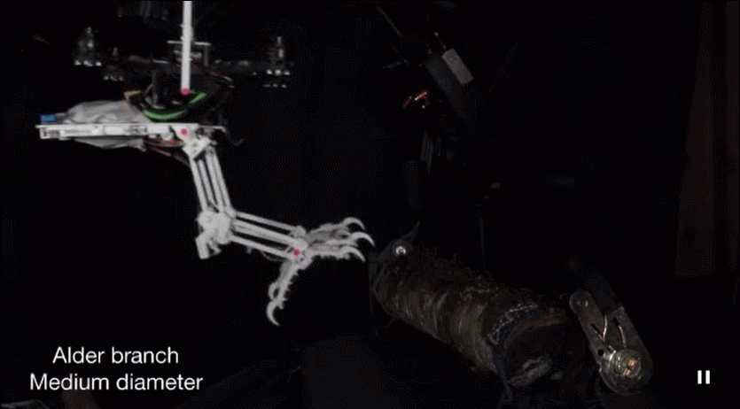 斯坦福发明“长腿”无人机！等比例模仿猎鹰，能空中抓球、树上栖息