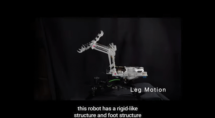 斯坦福发明“长腿”无人机！等比例模仿猎鹰，能空中抓球、树上栖息