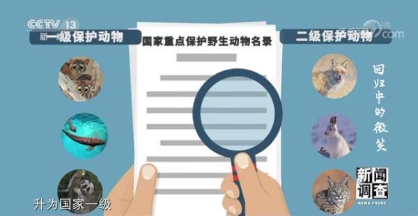 上海沙包土洗砂机厂家