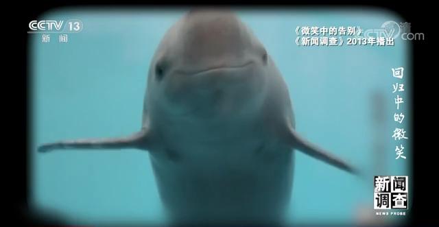 济南沙包土洗砂机厂家