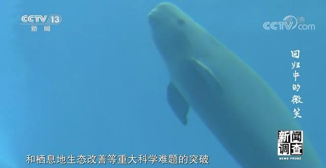 济南沙包土洗砂机厂家