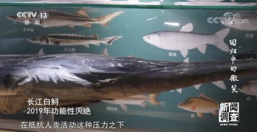 济南沙包土洗砂机厂家