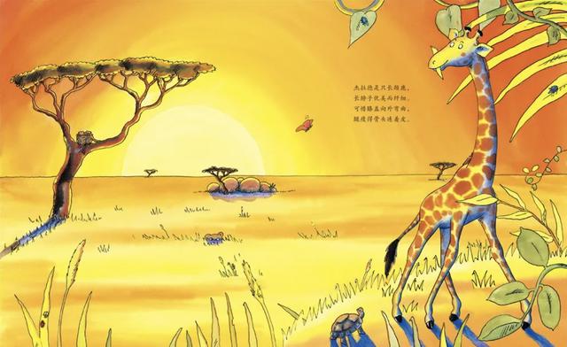 陪孩子读了8年绘本，我总结出这些读绘本的方法