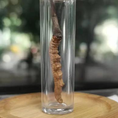 明日大雪，注意保护好这些关键部位，黑木耳、黑芝麻、黑豆可以多吃点