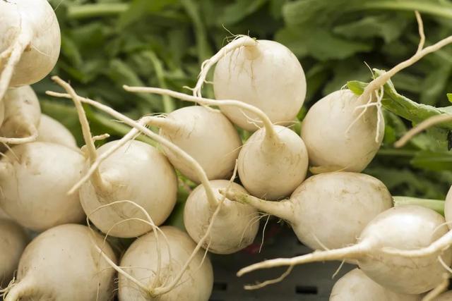 乐健康 | 大雪进补好时节，滋补壮体提高免疫力