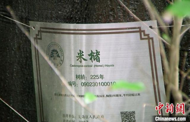 白泉小展塘配套加固工程中标公示