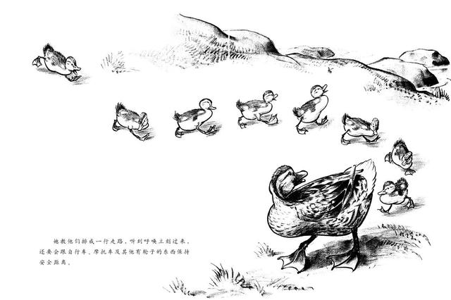 为小鸭子让路——虚构之事如何重塑真实世界