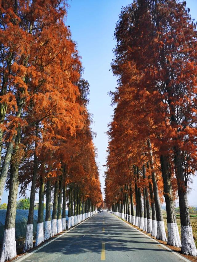 中國最美鄉村公路，就藏在廣東