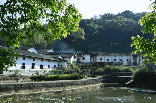 中國最美鄉村公路，就藏在廣東