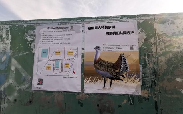 株洲轮斗洗砂机检修_轮斗式洗砂机视频