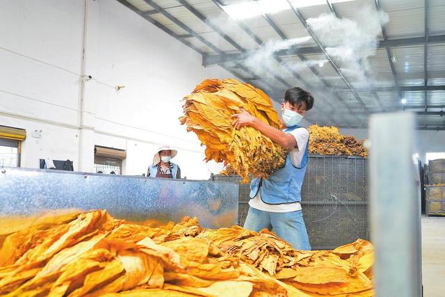 昆明破碎机哪里有卖的