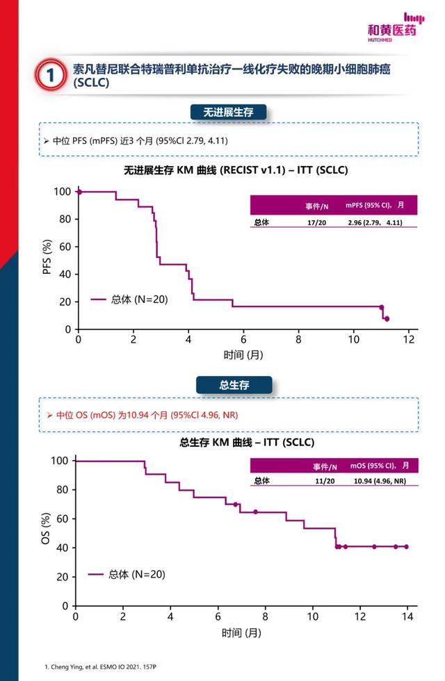 2021 ESMO-IO 前沿進展-索凡替尼最新研究進展速遞