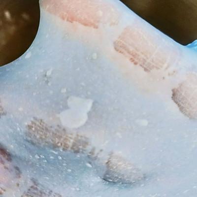 这道浪漫蝶豆花欧包，最适合宝宝吃