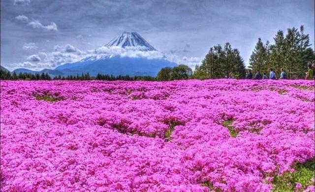 日本旅游景点