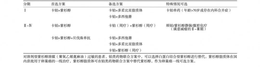《卵巢惡性腫瘤診斷與治療指南（2021版）》解讀