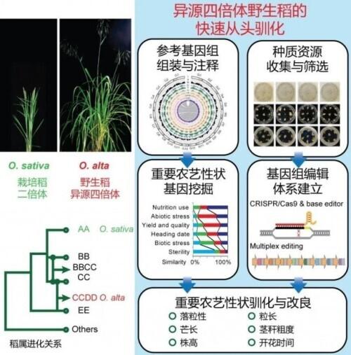 天津洗砂机哪里好