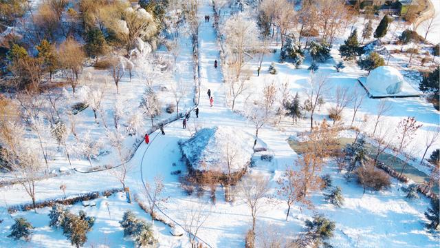 冬遊甯夏 助力冬奧丨冬季來沙湖，領略那塞北獨特的曼妙