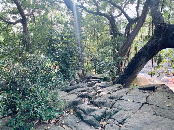 濮阳花岗岩制砂机行情