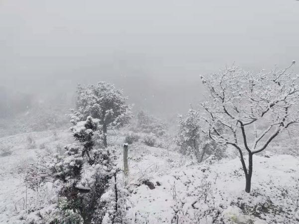 杭州今年还会下雪吗「多地气温将下降」