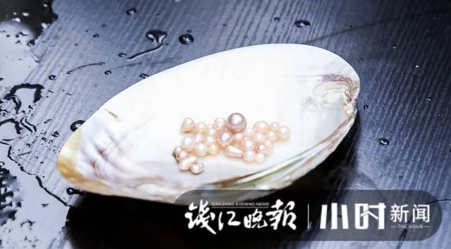 广东微型二手污水过滤机