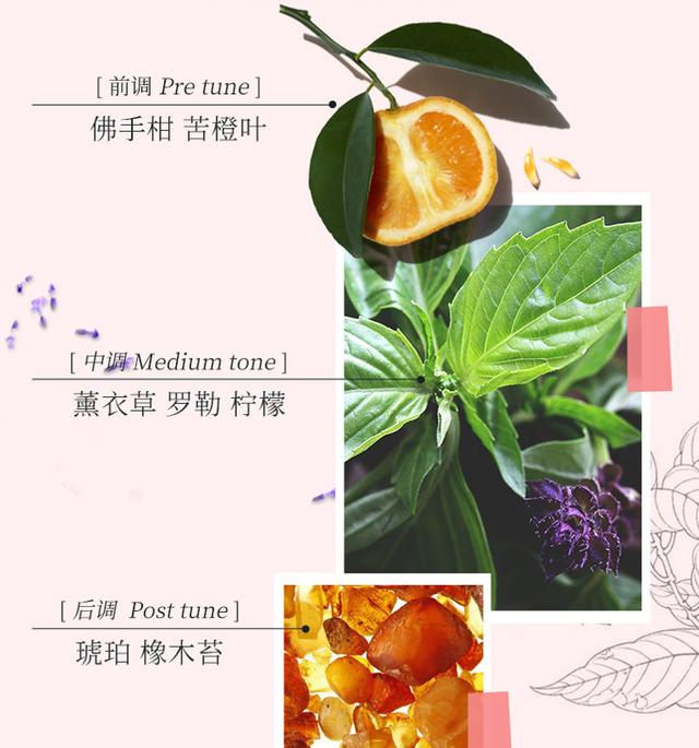 香到爆的身体乳便宜 香到爆的身体乳便宜