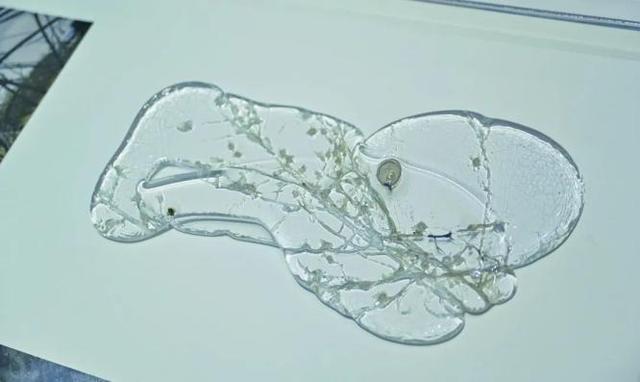 关于机械展的感想