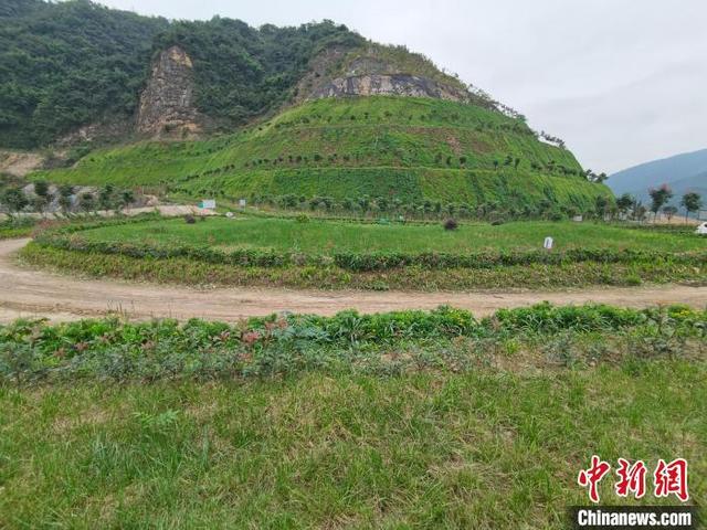 大理石尾矿清理规定