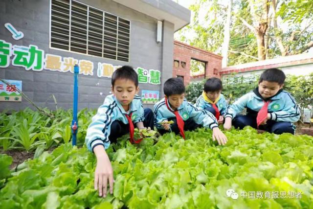 巴中鹅卵石破碎制砂机多少钱