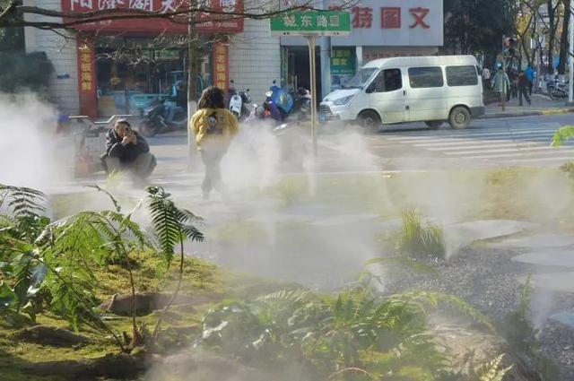 株洲制砂机械厂在哪个区